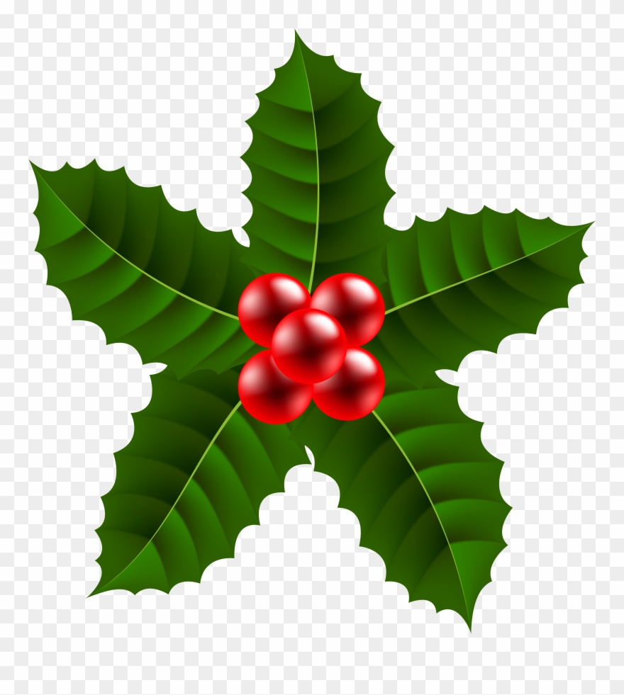 Holly Images Free Clip Art - Png Download