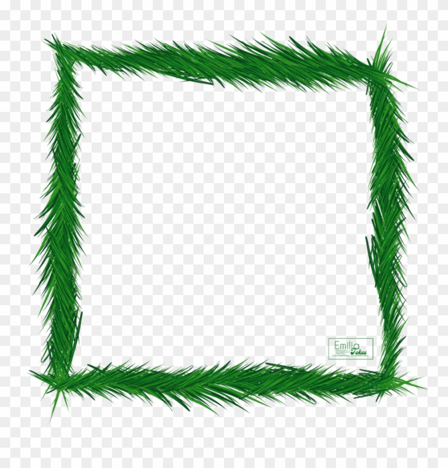 Clip Art Clipart Spruce Pine Clip Art Christmas - Clip Art - Png Download