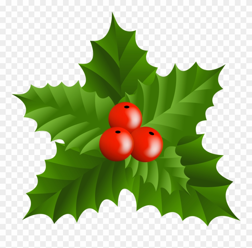 Holly Images Free Clip Art - Png Download