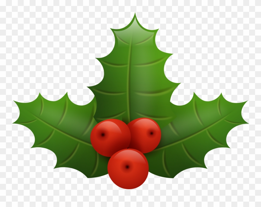 Holly Png Clipart