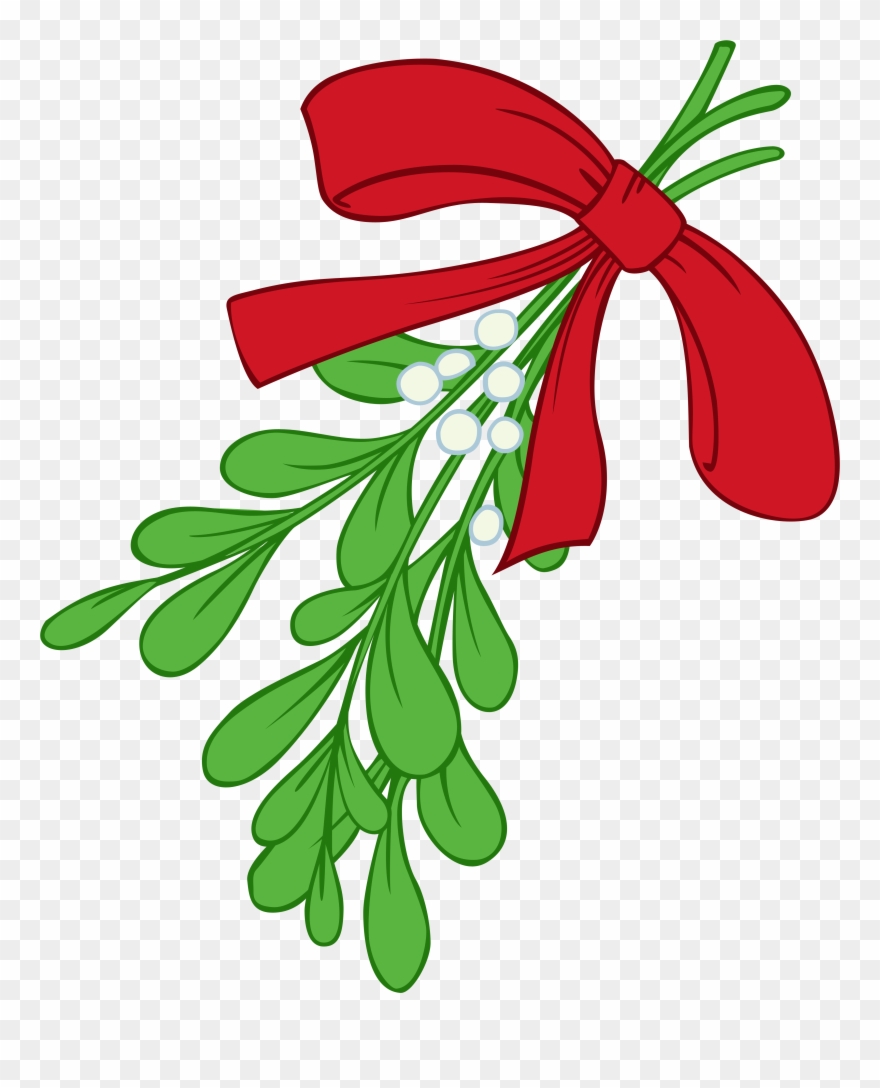 Mistletoe Clipart Ilration 72107 By Inkgraphics - Transparent Background Mistletoe Clipart - Png Download