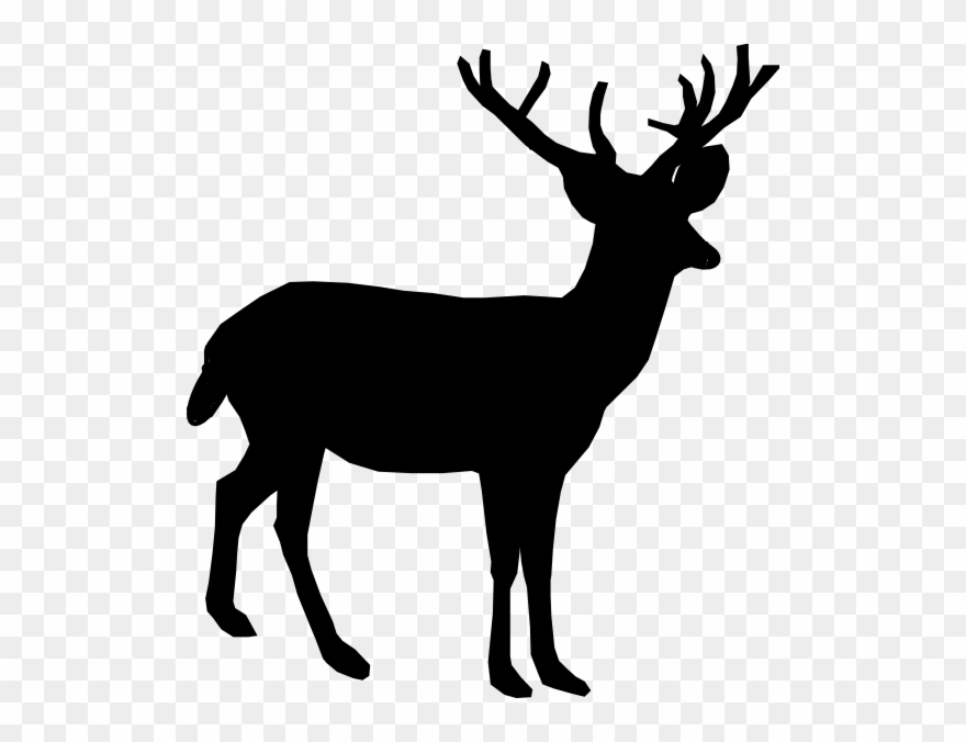 Jpg Freeuse Whitetail Deer Clip Art - Deer Clipart - Png Download