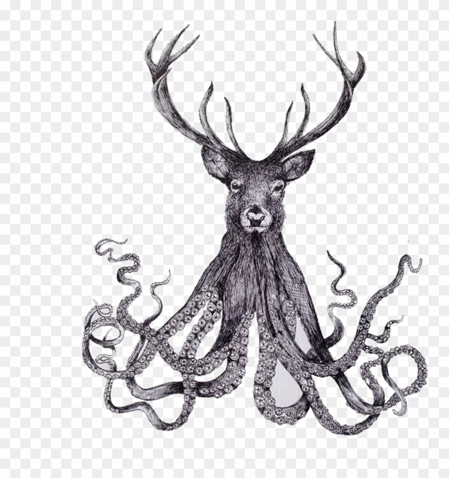 Banner Black And White Download Paper Illustrator Illustration - Deer Octopus Tattoo Clipart