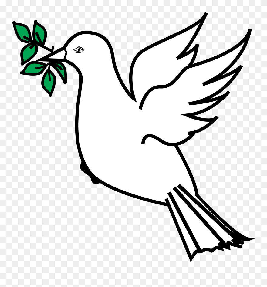 All Photo Png Clipart - Dove With Olive Branch Clipart Transparent Png