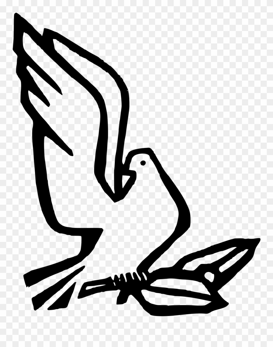 All Photo Png Clipart - Stamp Of Human Rights Day Transparent Png