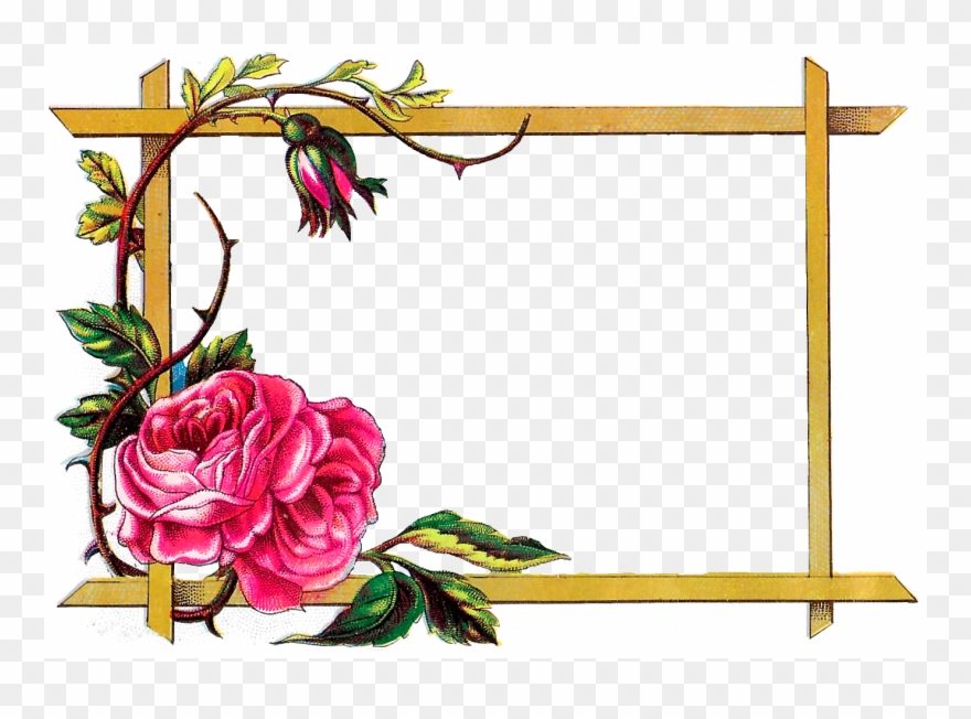 Download Flower Border Design Clipart Floral Design - Flowers Frames And Borders - Png Download