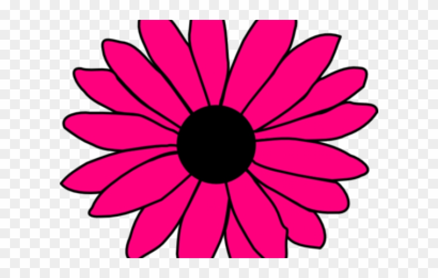 Pink Clipart Sunflower - Daisy Flower Clipart Black And White - Png Download