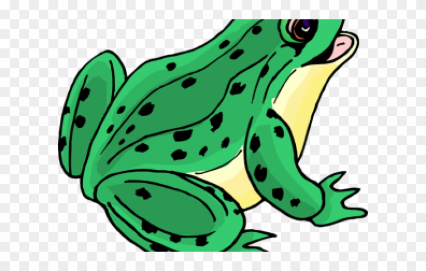 Bullfrog Clipart Tongue - Clipart Picture Of Frog - Png Download