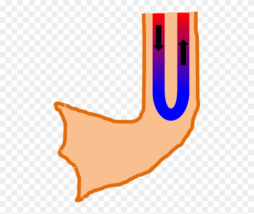 Warmth Clipart Cold Air - Duck Foot Blood - Png Download