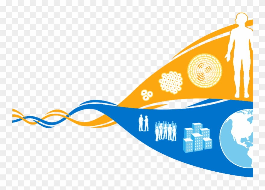 Banner Stock Cooperation And Symposium Department - Map Of Where Bottlenose Dolphins Clipart