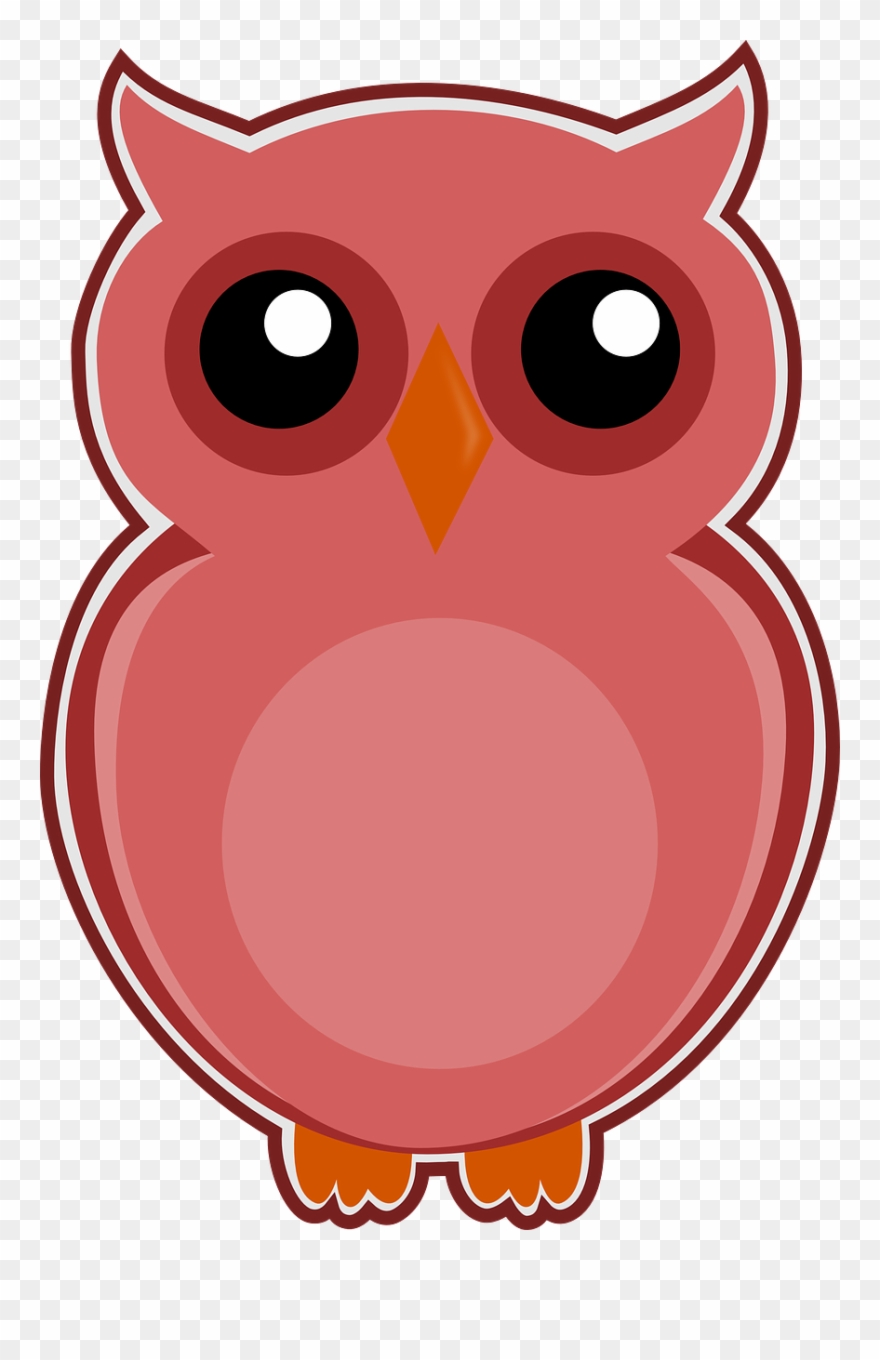 Owl Pink Bird - รูป นก ฮูก สีชมพู Clipart