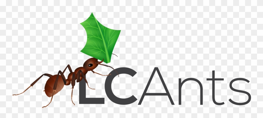 Ant Clipart Ant Farm - Carpenter Ant - Png Download