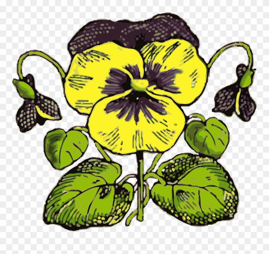 Big Image - Flowers Clip Art - Png Download