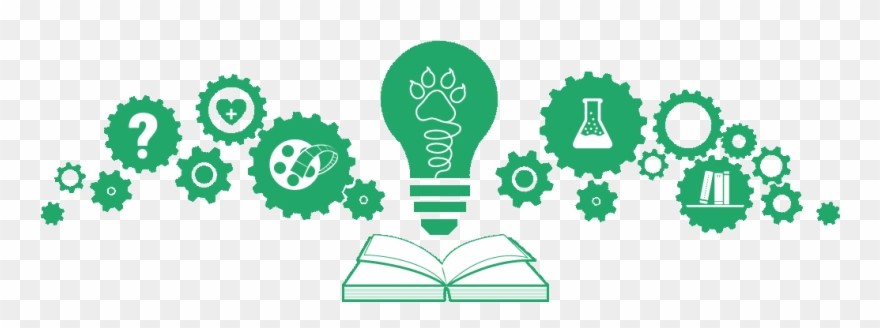 Hierarchy Of Knowledge Clipart