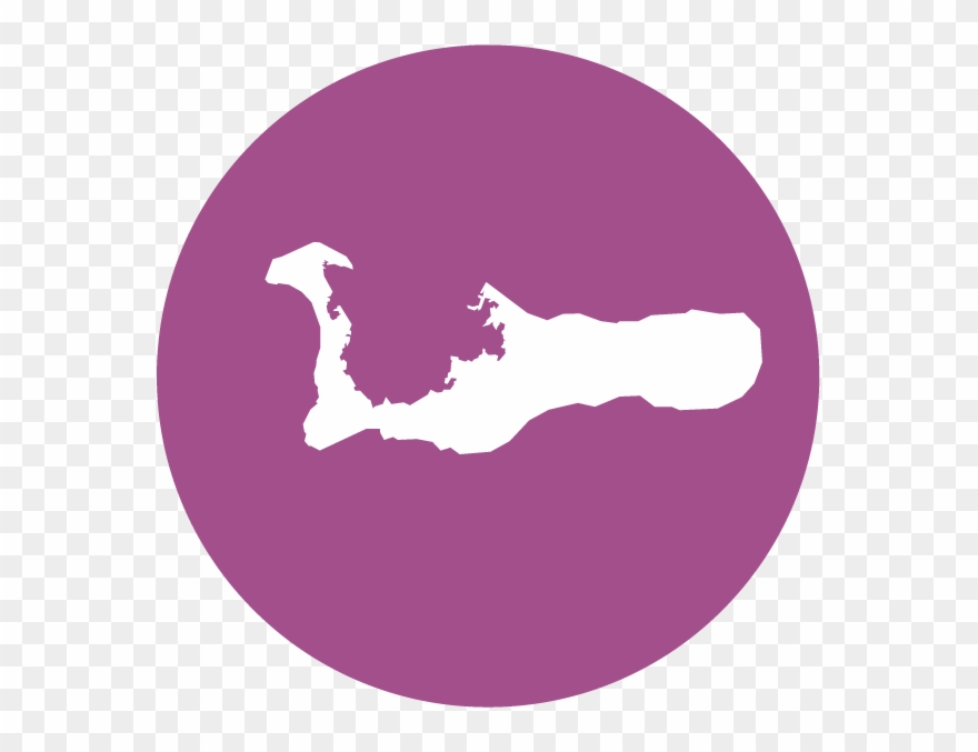 Picture Freeuse Stock Friendly Mosquitoes Oxitec Aedes - Cayman Islands Clipart