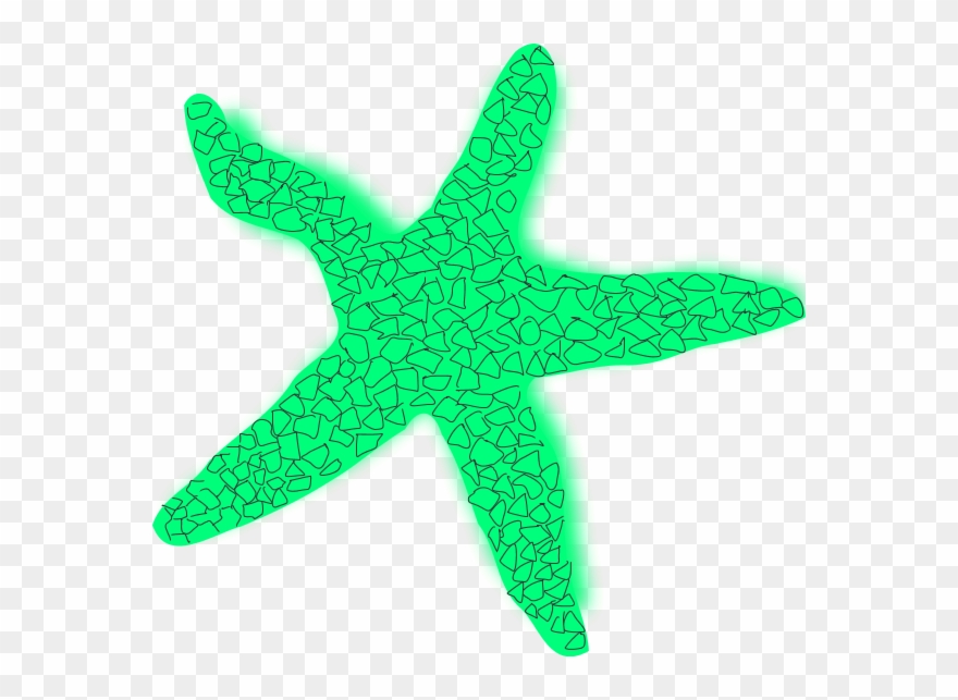 Starfish Clipart Star Fish - Green Starfish Clipart - Png Download