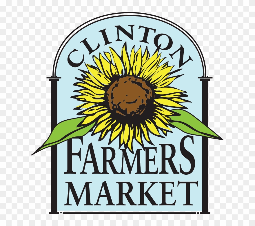 Sunflower Clipart