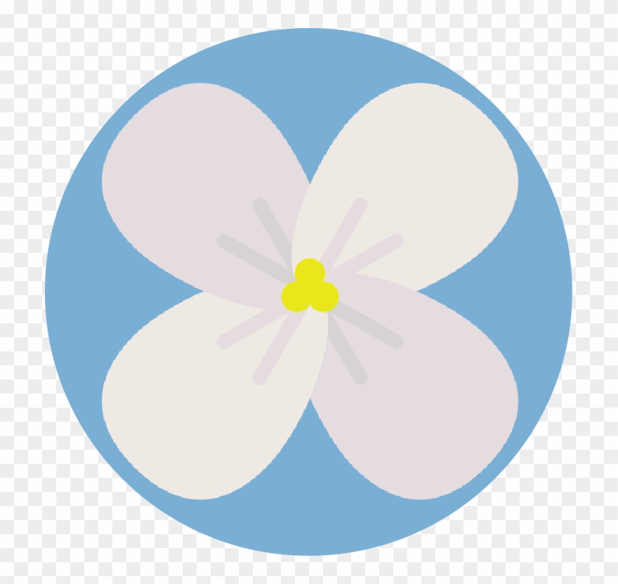 Our Services - Circle Clipart