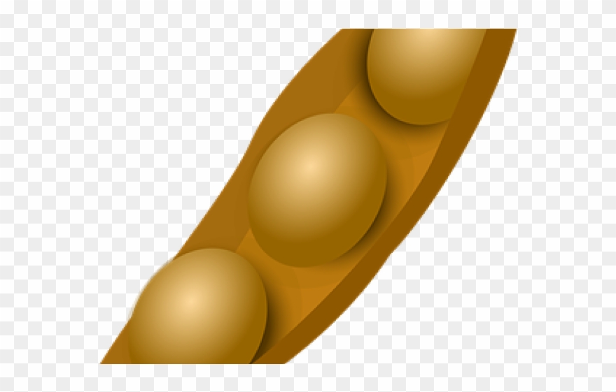 Lima Beans Clipart Soy Bean Illustration Png Download (907941