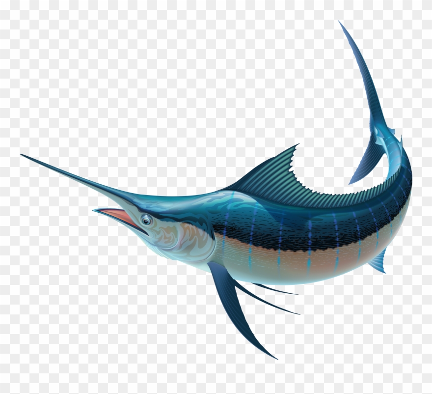 Swordfish Png Clipart - Swordfish Transparent Background