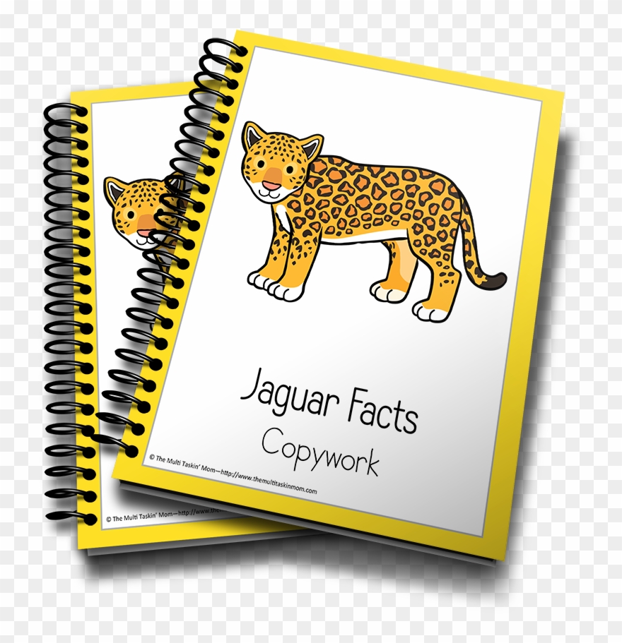 Jaguar Copywork - Income Tax School Certificate Clipart