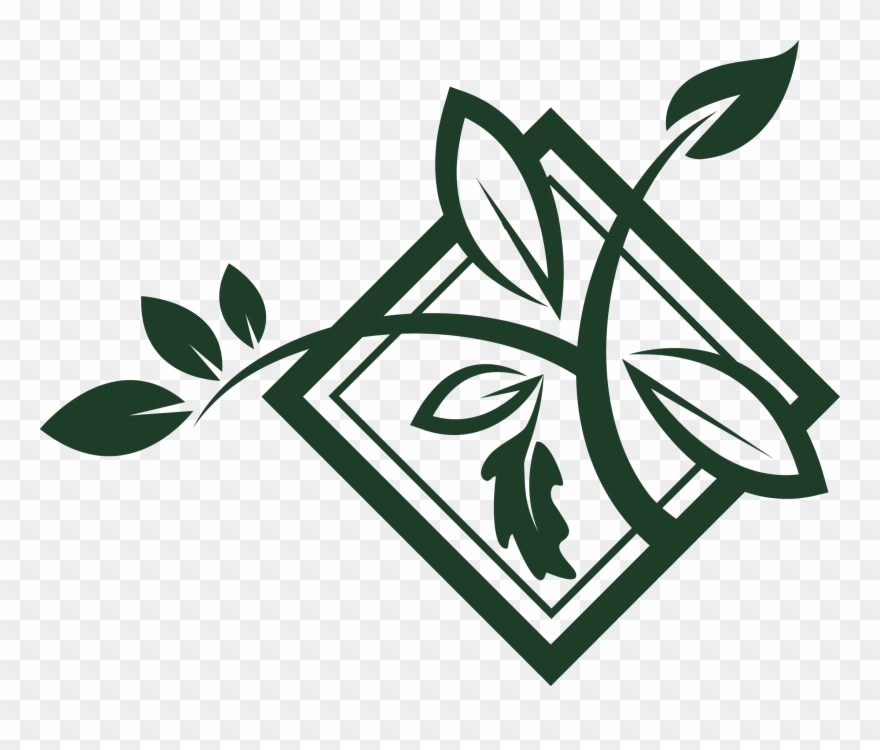 Woodlands Academy Trust - Woodland Academy Trust Clipart