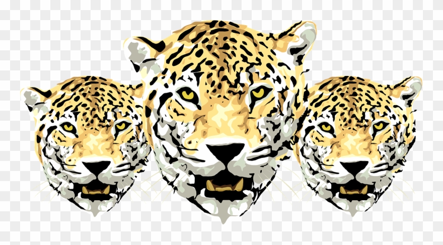 Amur Leopard Head Png Clipart