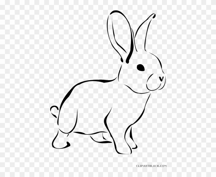 Jaguar Clipart Fast Rabbit - Rabbit Black And White - Png Download