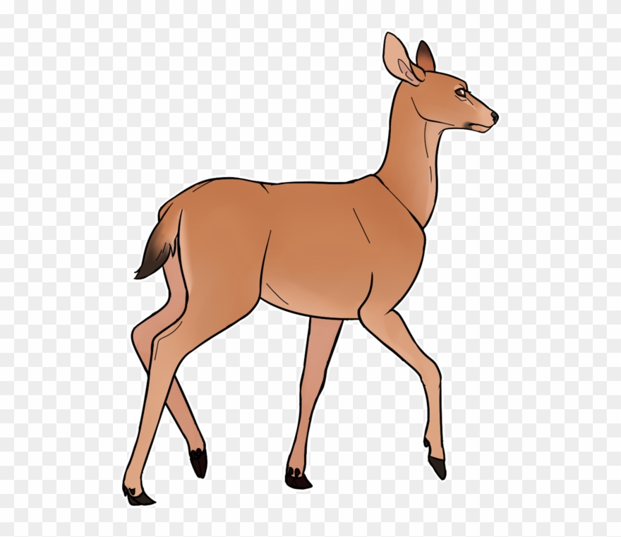 Doe Clipart - Mule - Png Download