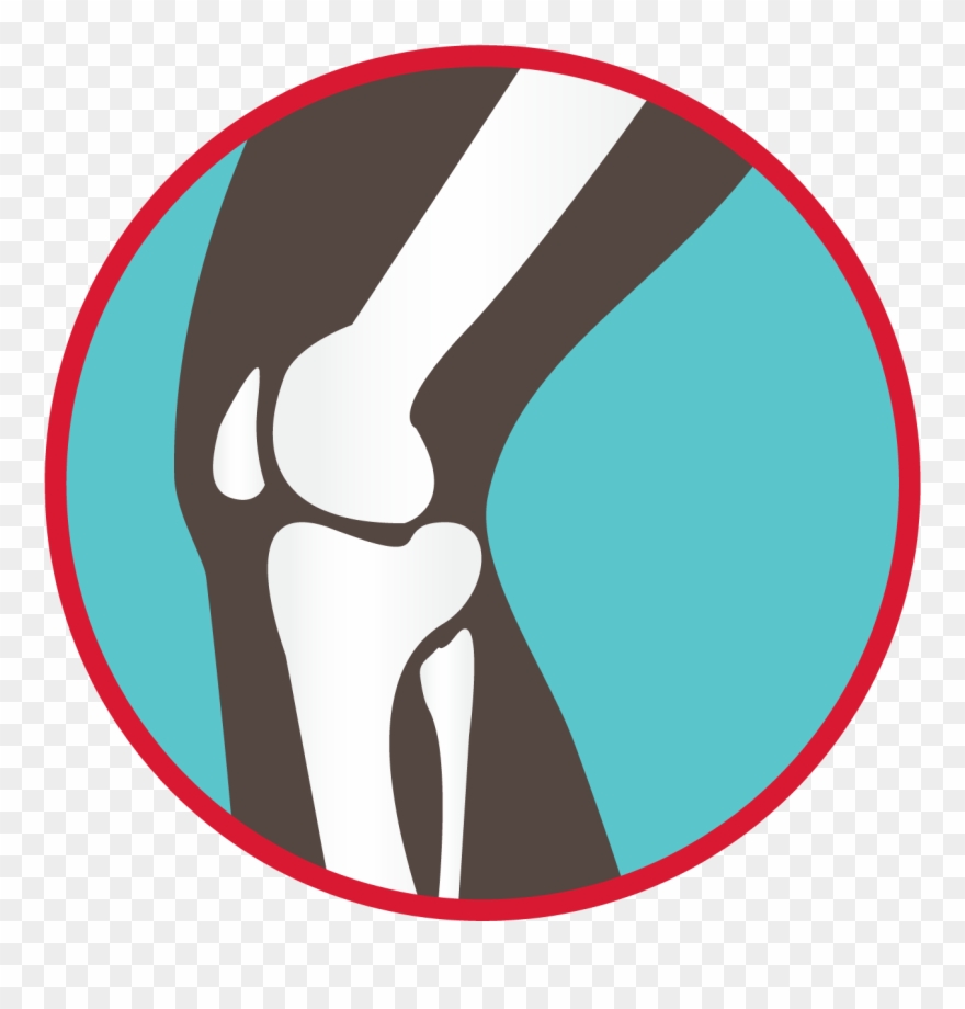 Bones Of The Knee Joint Graphic Howth Clipart (910899) PinClipart