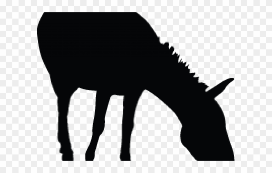 Mule Clipart Silhouette - Camel - Png Download