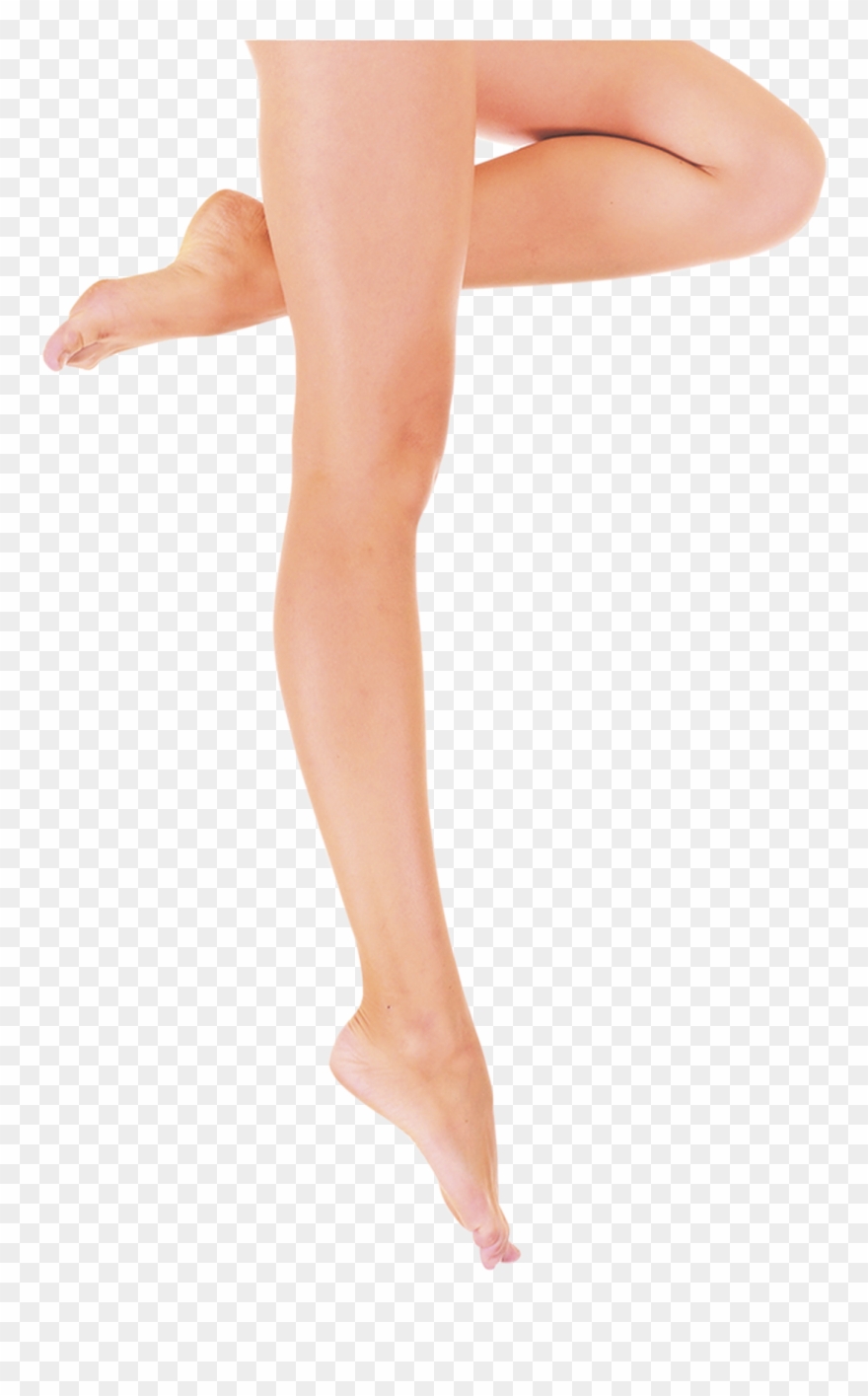 Female Leg Clipart Png - Legs Png Transparent Png