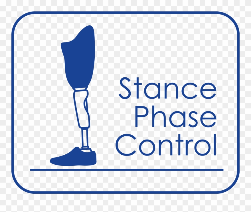 Knee Stance Phase Control - Coffee Clipart