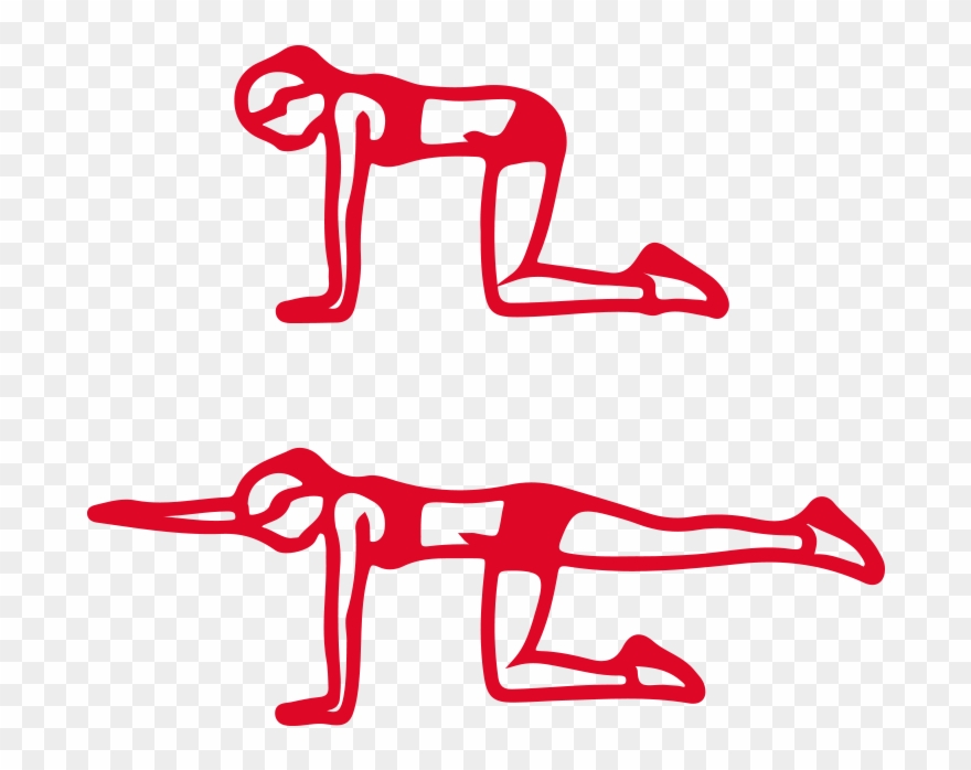 Start On Your Hands And Knees, With Your Hands Directly Clipart