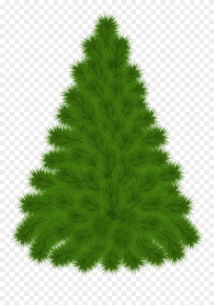 Pine Tree Clipart Png Transparent Png