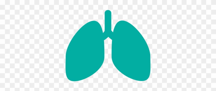 About Ipf European Idiopathic Pulmonary Fibrosis Related - Respiratory Icon Clipart