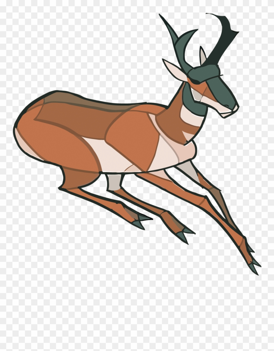 Jemma Salume Animals Clipart