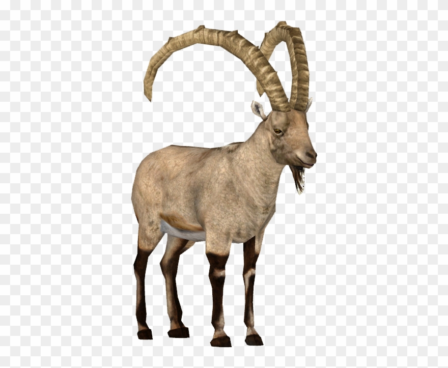 Ibex Clipart - Ibex Png Transparent Png