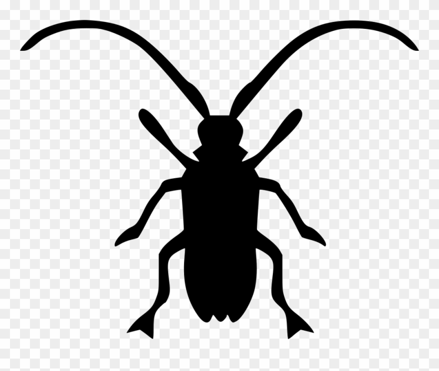 Primer On Invasive Forest Insects - Icon Beatle Clipart