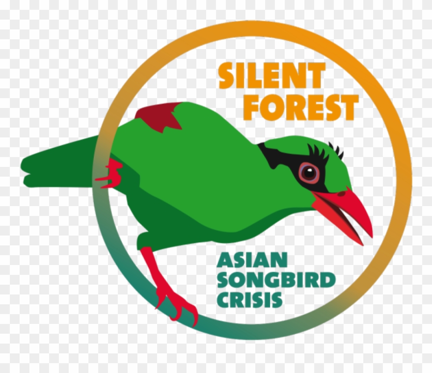 Silent Forest 600 - Silent Forest Eaza Clipart