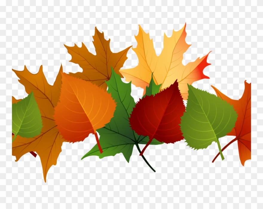Exciting Clip Art Of Fall Leaves - Png Download