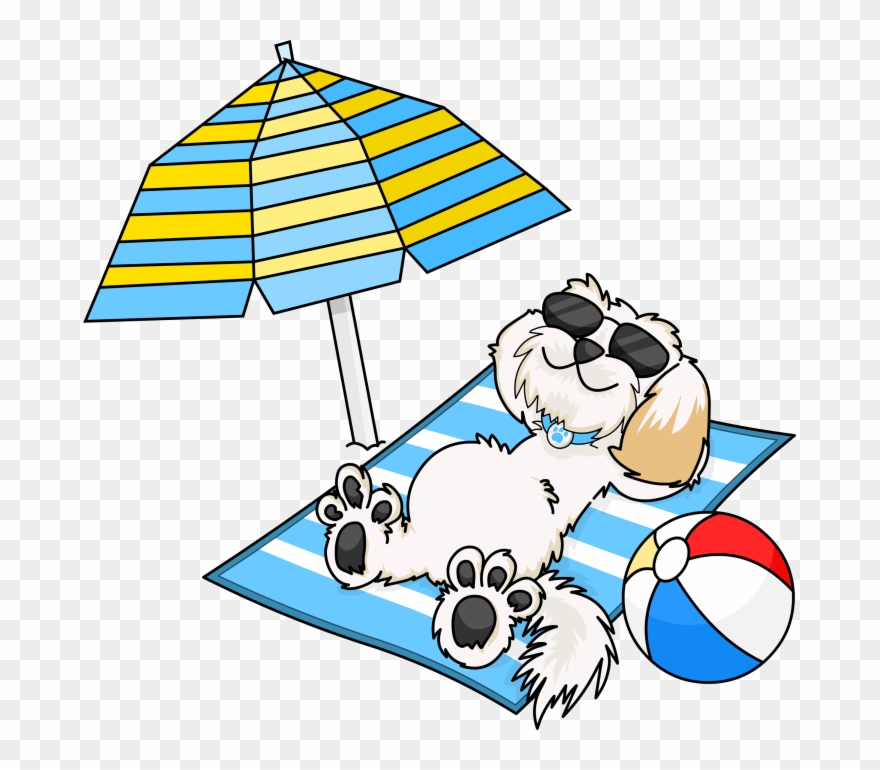 Enjoying The Sun At Hazelwood Holiday Park - Dog At The Beach Cartoon Clipart