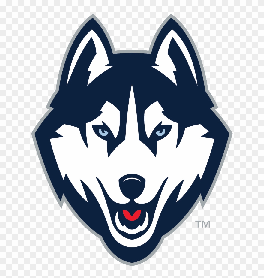 Nike Clipart Husky Puppy - Connecticut Huskies - Png Download