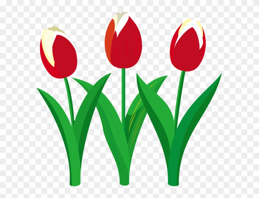 Screwdriver Clipart Flower - Illustration - Png Download