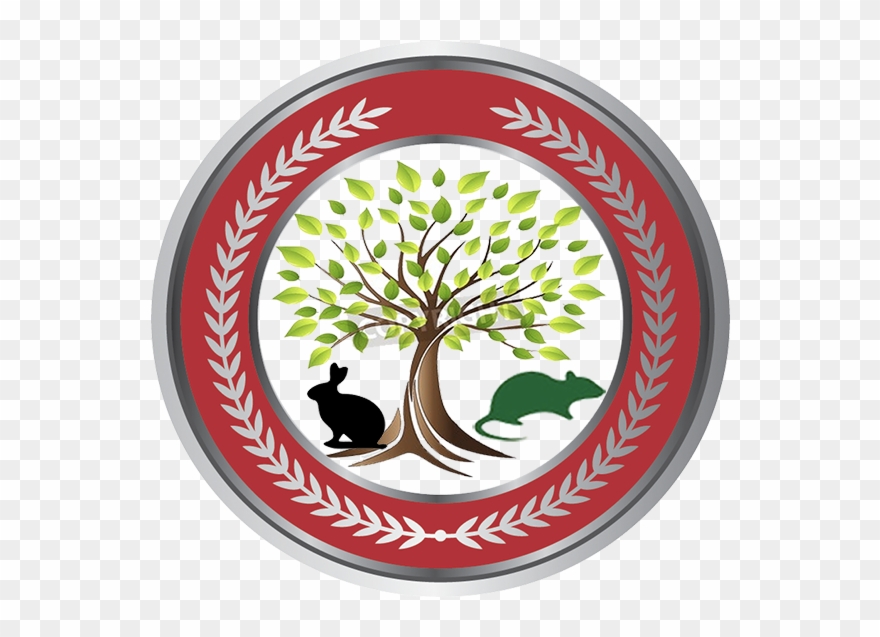 About The Journal - Research Clipart