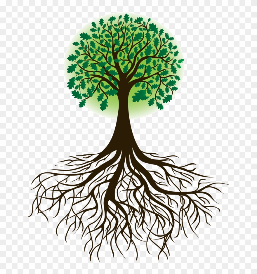 Roots Clipart Cartoon - Tree With Roots Silhouette - Png Download