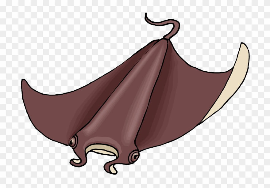 Stingray Clipart - Sting Ray Clipart Png Transparent Png