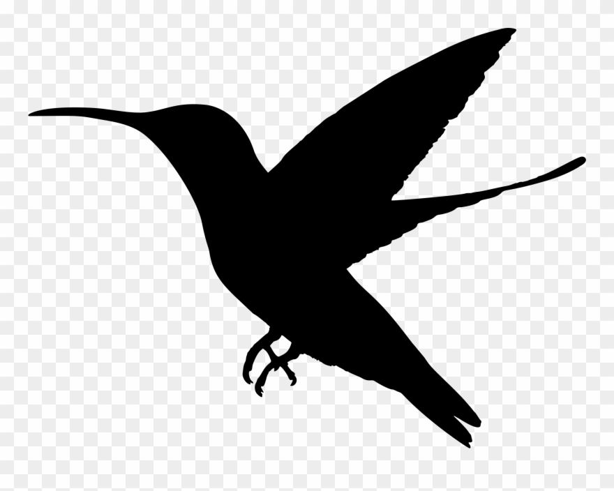 Hummingbird Silhouette Clip Art Www Pixshark Com Pigeon - Hummingbird Silhouette Png Transparent Png