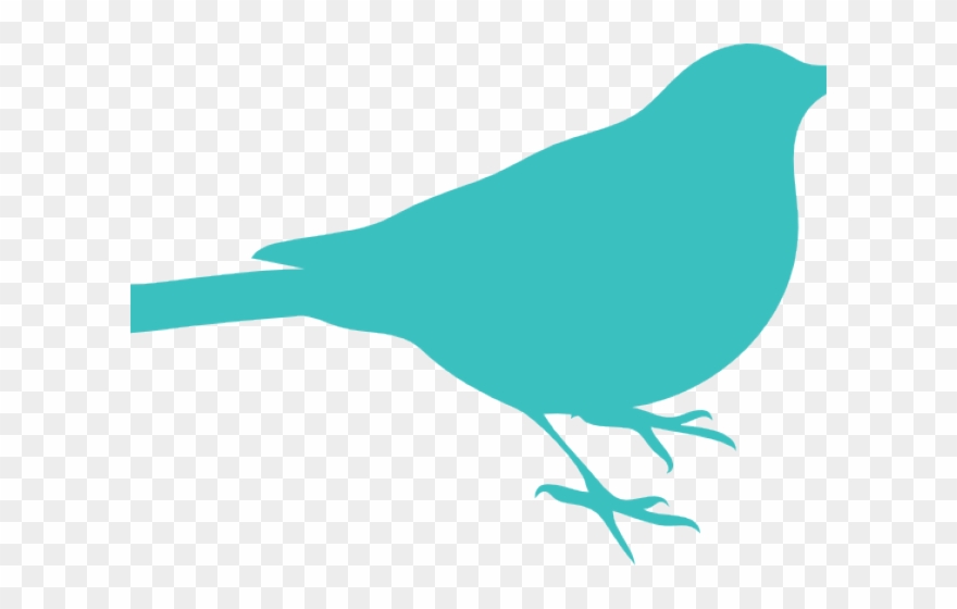 Bird Is The Word Sticker Clipart