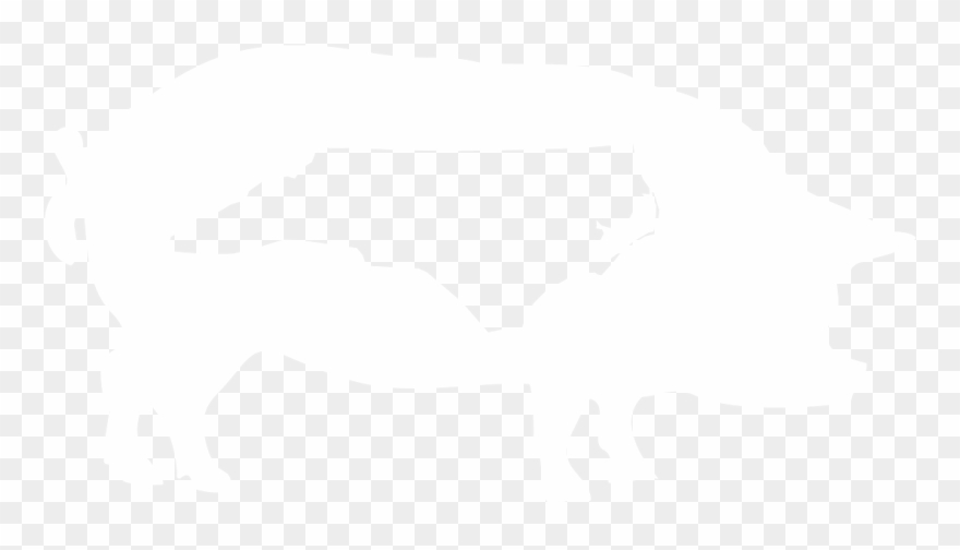 Meet Your Neighbors Farm Sanctuary - Farm Sanctuary Meet Your Neighbor Clipart